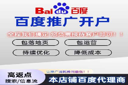 百度竞价代运营公司成功案例分析